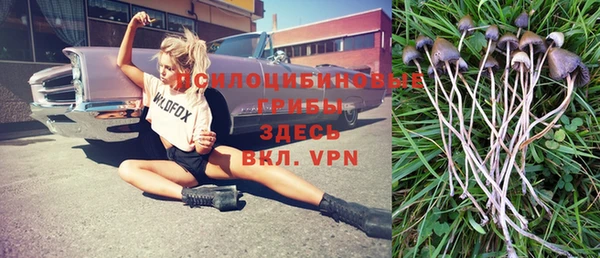 a pvp Гусев