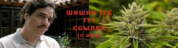 гашик Гусиноозёрск