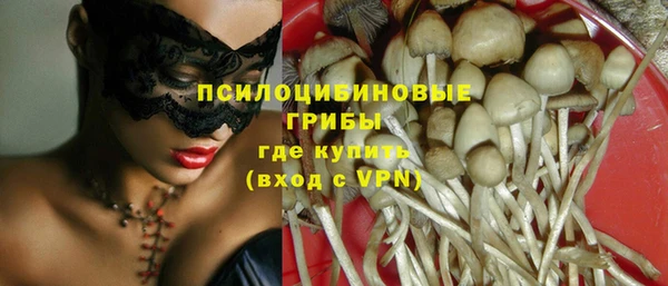 гашик Гусиноозёрск
