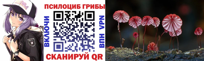 Псилоцибиновые грибы мухоморы  МЕГА ссылки  Меленки  где найти наркотики 
