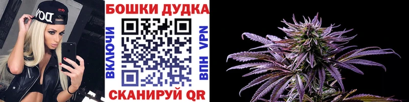 Каннабис ГИДРОПОН  закладка  кракен вход  Меленки 